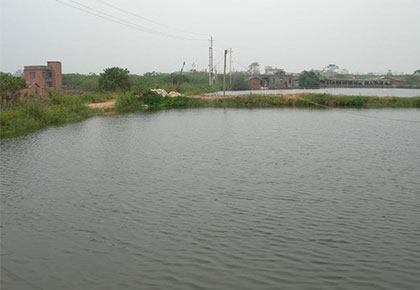 生产基地-097