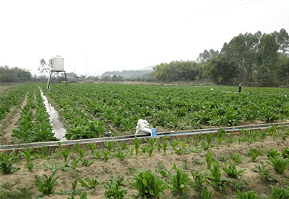 生产基地-102